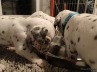 IMG_20250124_180442_web