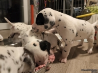 IMG_20250124_180448_web