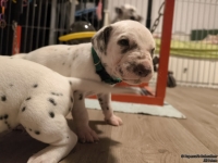 IMG_20250124_180514_web