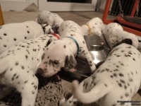 IMG_20250124_180528_web