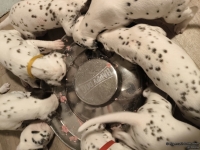 IMG_20250124_180533_web