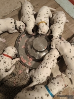 IMG_20250124_180535_web