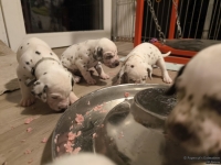 IMG_20250124_180611_web