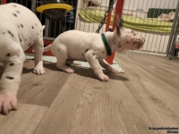 IMG_20250124_180616_web