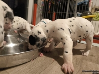 IMG_20250124_180629_web