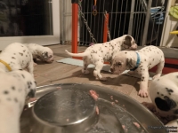 IMG_20250124_180643_web