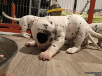 IMG_20250124_180646_web