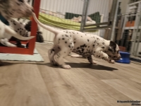 IMG_20250124_180653_web