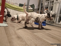 IMG_20250124_180654_web