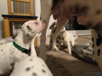 IMG_20250124_180953_web