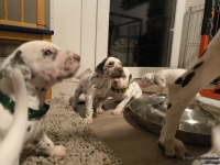 IMG_20250124_180955_web