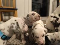 IMG_20250124_181004_web