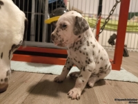 IMG_20250124_181021_web