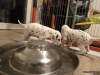 IMG_20250124_181054_web