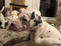 IMG_20250124_181105_web