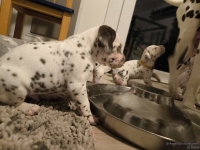 IMG_20250124_181122_web