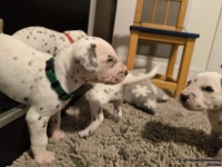 IMG_20250124_181214_web