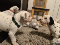 IMG_20250124_181216_web