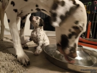 IMG_20250124_181314_web