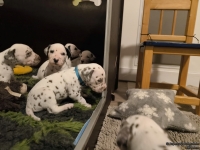 IMG_20250124_181438_web