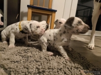 IMG_20250124_181448_web