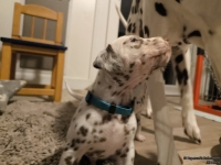 IMG_20250124_181549_web