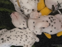 IMG_20250126_104306_web