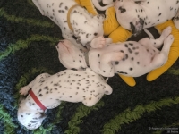 IMG_20250126_104309_web