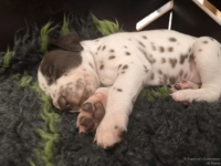 IMG_20250126_104312_web