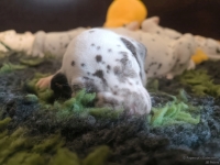 IMG_20250126_104317_web