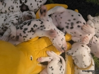 IMG_20250126_104330_web