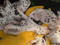 IMG_20250126_104332_web