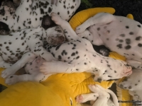 IMG_20250126_104335_web