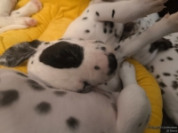 IMG_20250126_104340_web