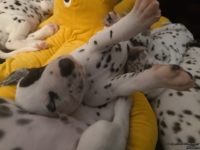 IMG_20250126_104342_web