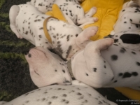 IMG_20250126_104403_web