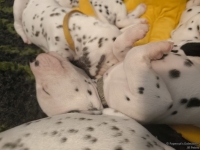 IMG_20250126_104407_web