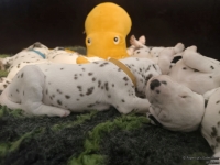 IMG_20250126_104412_web