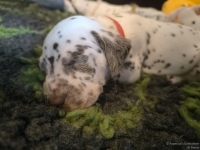 IMG_20250126_104417_web