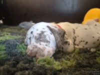 IMG_20250126_104422_web