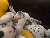 IMG_20250126_104424_web