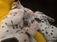 IMG_20250126_104428_web