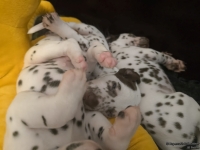 IMG_20250126_104430_web