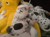 IMG_20250126_104432_web