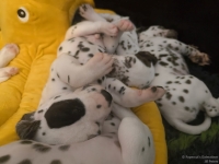 IMG_20250126_104434_web