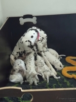 IMG_20250127_133551_web