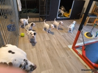 IMG_20250128_083512_web