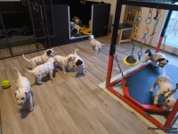 IMG_20250128_083517_web