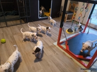 IMG_20250128_083519_web