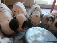 IMG_20250128_110848_web